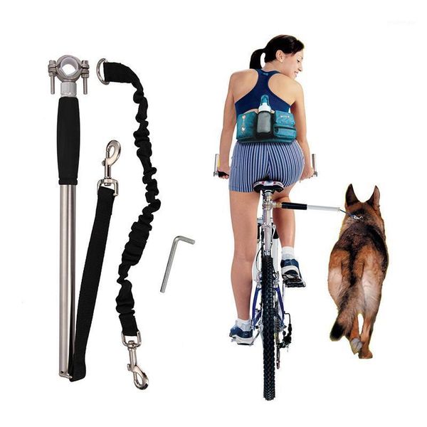 stainless steel bicycle dog walking leashes hands bike riding dog collar harness leash chain pitbull pet accessories supply1
stainless steel bicycle dog walking leashes hands bike riding dog collar harness leash chain pitbull pet accessories supply1