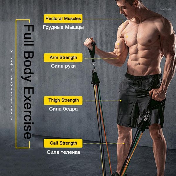 resistance bands skdk 11pcs set home latex fitness rope training muscle exercises workout elastic equipment1
resistance bands skdk 11pcs set home latex fitness rope training muscle exercises workout elastic equipment1