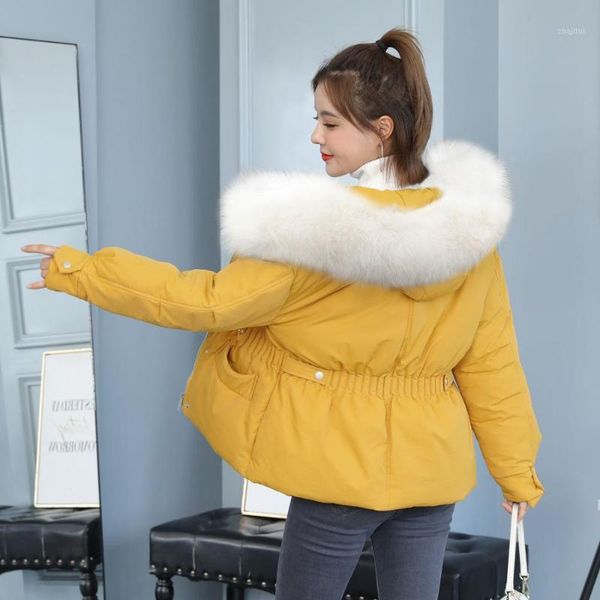 new fur coat women parka 2020 women's winter jacket female coats thick warm winter jackets woman parkas fashion outerwear1, Black
new fur coat women parka 2020 women's winter jacket female coats thick warm winter jackets woman parkas fashion outerwear1, Black