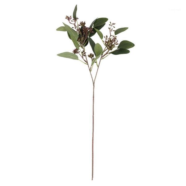 5 pcs simulation plant life-like decoration eucalyptus leaves decorative for home festive & party supplies tb sale1
5 pcs simulation plant life-like decoration eucalyptus leaves decorative for home festive & party supplies tb sale1