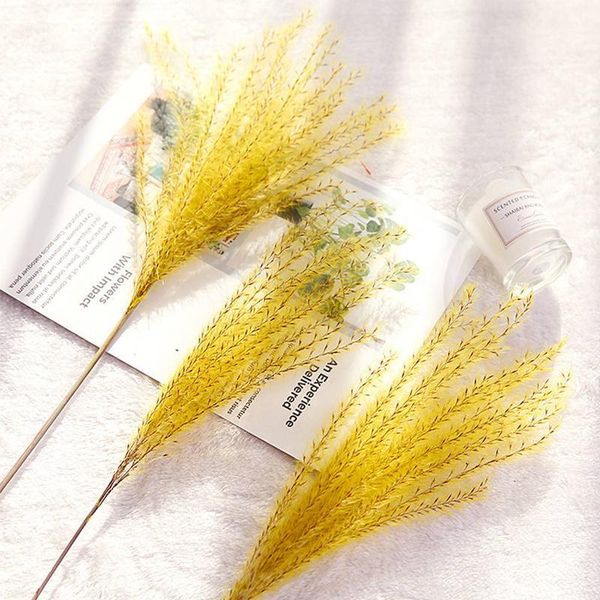 10pcs/lot natural dried flower reed flower bouquet for wedding home decoration phragmite bulrush branch pho jllrqg
10pcs/lot natural dried flower reed flower bouquet for wedding home decoration phragmite bulrush branch pho jllrqg