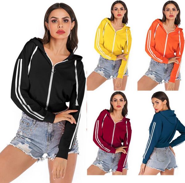 women jackets sweater long sleeve winter coats solid color zipper sport jacket ladies outerwear hooded coats fashion crop ly12183, White
women jackets sweater long sleeve winter coats solid color zipper sport jacket ladies outerwear hooded coats fashion crop ly12183, White