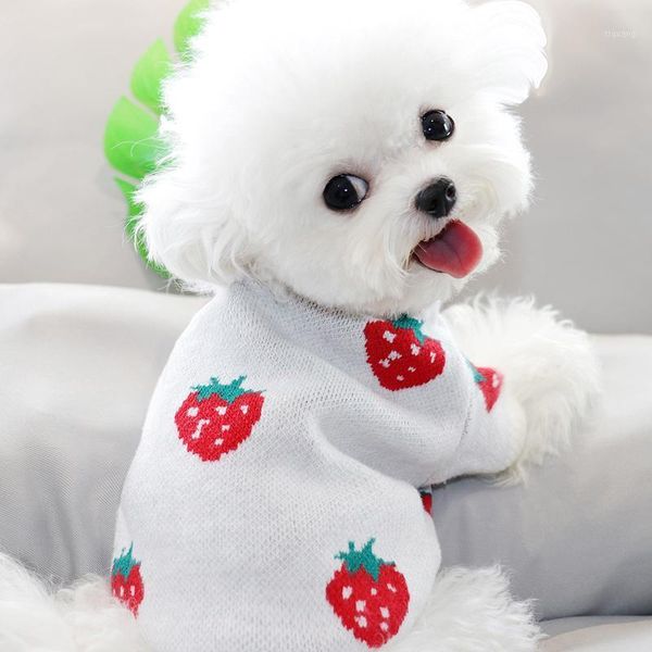 autumn/winter pet strawberry print sweater small dog cat teddy bichon hiromi schnauzer yorkshire poodle dog clothes1
autumn/winter pet strawberry print sweater small dog cat teddy bichon hiromi schnauzer yorkshire poodle dog clothes1