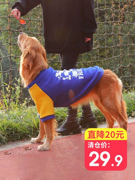 golden samoye husky labrador border animal husbandry medium sized large dog pet autumn and winter clothing
golden samoye husky labrador border animal husbandry medium sized large dog pet autumn and winter clothing