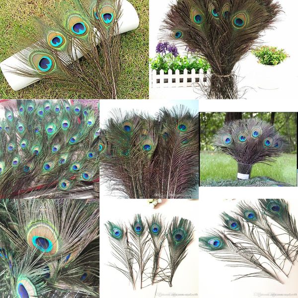 new& sf express elegant dhl decorative accessories genuine natural peacock feathers 25-3outletnkg5
new& sf express elegant dhl decorative accessories genuine natural peacock feathers 25-3outletnkg5