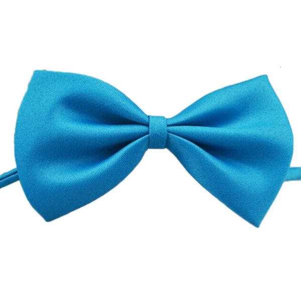 2021 1 piece adjustable cat neck dog puppy bows pet bow tie different colors supply
2021 1 piece adjustable cat neck dog puppy bows pet bow tie different colors supply
