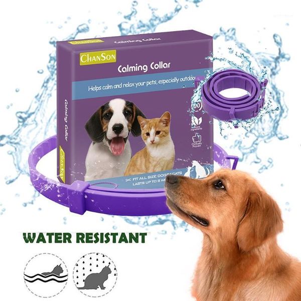 dog collars & leashes pet calm collar cat and soothe adjustable tpr neck strap relieve anxiety remove restlessness protection dogs supply1
dog collars & leashes pet calm collar cat and soothe adjustable tpr neck strap relieve anxiety remove restlessness protection dogs supply1
