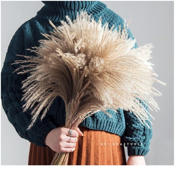 natural dried pampas grass phragmites communis for wedding artificial flower bunch home decor diy craft dry flowers de jllalr
natural dried pampas grass phragmites communis for wedding artificial flower bunch home decor diy craft dry flowers de jllalr
