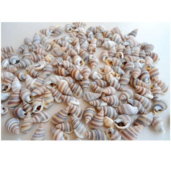 happykiss 100pcs natural ornament conch shells cat's eye screw diy mediterranean home decoration aquariu jllovc
happykiss 100pcs natural ornament conch shells cat's eye screw diy mediterranean home decoration aquariu jllovc