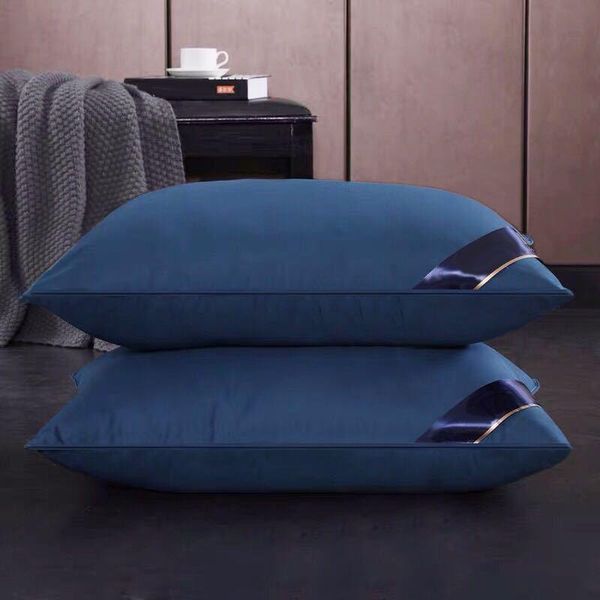 pillow core washable high-quality hypoallergenic feather healthy sleep stand for bedroom home textiles comfortable easy rebound
pillow core washable high-quality hypoallergenic feather healthy sleep stand for bedroom home textiles comfortable easy rebound