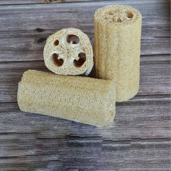 natural loofah luffa bath supplies environmental protection product clean exfoliate rub back soft loofah towel brush pot wash 12 p2
natural loofah luffa bath supplies environmental protection product clean exfoliate rub back soft loofah towel brush pot wash 12 p2