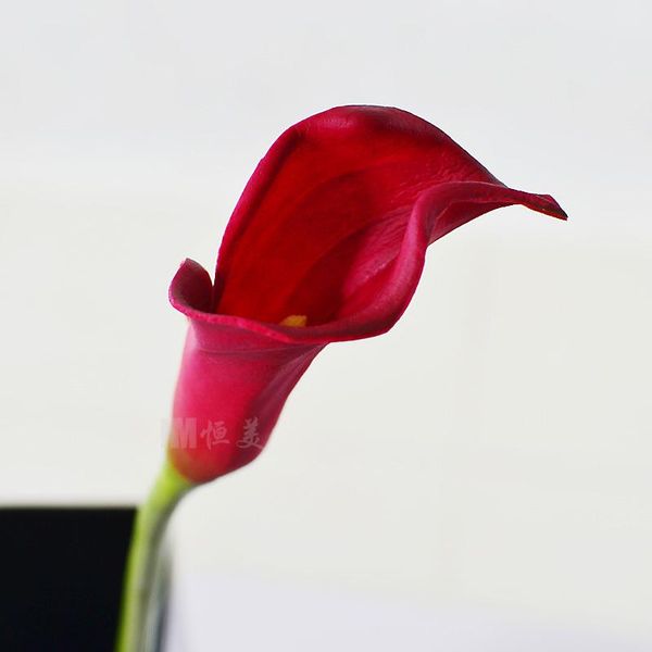 (36 pcs/lot) 62cm large pu artificial calla lily, soft touch, white, yellow, pink, etc, great deco for wedding, party, home,
(36 pcs/lot) 62cm large pu artificial calla lily, soft touch, white, yellow, pink, etc, great deco for wedding, party, home,