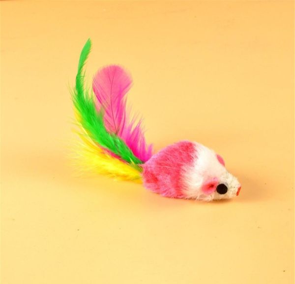 plush mouse cat teaser toy simulation colorful feather tail false mouse bite resistant funny cats toy kitten cat bbypyz lg2010
plush mouse cat teaser toy simulation colorful feather tail false mouse bite resistant funny cats toy kitten cat bbypyz lg2010