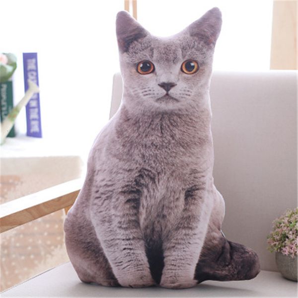 3d plush simulation shorthair cat cushion filled animals 50cm creative pillow sofa children's anime toys gifts
3d plush simulation shorthair cat cushion filled animals 50cm creative pillow sofa children's anime toys gifts