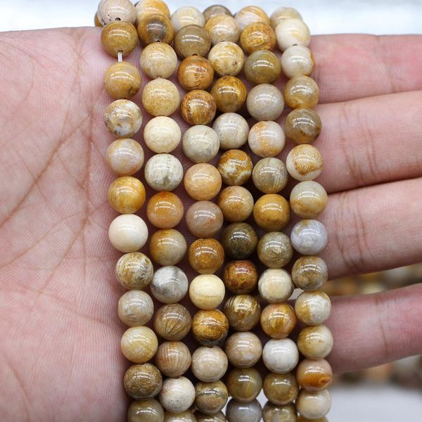 1strand lot natural chrysanthemum stone coral fossils bead round loose spacer beads for jewelry making findings diy bracelet h jllrya
1strand lot natural chrysanthemum stone coral fossils bead round loose spacer beads for jewelry making findings diy bracelet h jllrya