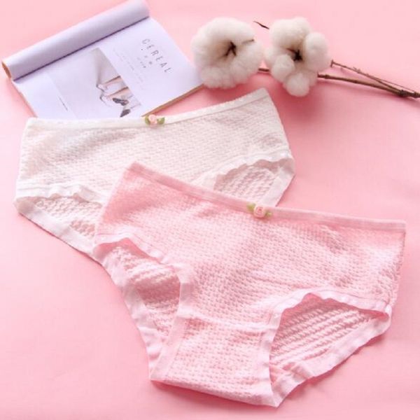 women low-rise lace underwear girls wholesale girl cotton women's briefs korea cute panties, Black;pink
women low-rise lace underwear girls wholesale girl cotton women's briefs korea cute panties, Black;pink