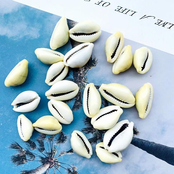 20pcs 24 30mm natural shell conch beads decor sea shells diy jewelry accessories handmade necklace shells for jewelry making h jllqvg
20pcs 24 30mm natural shell conch beads decor sea shells diy jewelry accessories handmade necklace shells for jewelry making h jllqvg