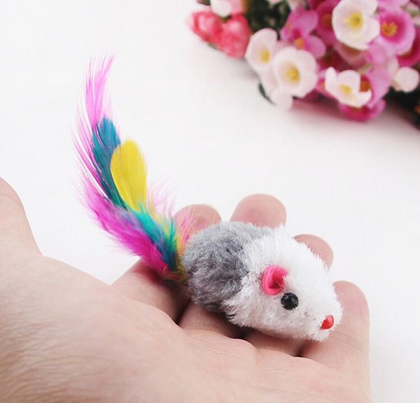 new 5pcs/lot funny false mouse rat toys for cat kitten colorful plush mini mouse to jllczw powerstore2012
new 5pcs/lot funny false mouse rat toys for cat kitten colorful plush mini mouse to jllczw powerstore2012