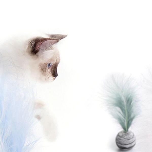 1шт mini cat бросание игрушки non toxic star шар с пером перо интерактивной игрушка прочной евой материал pet игрушка зоотовары yxlnlq
1шт mini cat бросание игрушки non toxic star шар с пером перо интерактивной игрушка прочной евой материал pet игрушка зоотовары yxlnlq