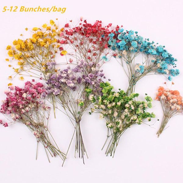 5/12bunches gypsophila nail dry flower for a manicure accessories dried emboss-floral natural decals nails art design phone case, Silver;gold
5/12bunches gypsophila nail dry flower for a manicure accessories dried emboss-floral natural decals nails art design phone case, Silver;gold