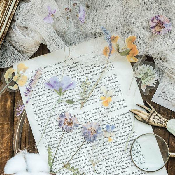 tianzi 6 дизайн сухих цветов серия наклейка декоративного коллаж скрапбукинг альбом back to school stationery наклейка эстетической wmtwho
tianzi 6 дизайн сухих цветов серия наклейка декоративного коллаж скрапбукинг альбом back to school stationery наклейка эстетической wmtwho