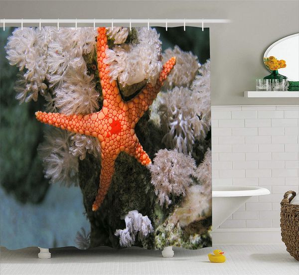 starfish shower curtain with hooks custom summer ocean waterproof bath screen washable bath decor polyester curtain
starfish shower curtain with hooks custom summer ocean waterproof bath screen washable bath decor polyester curtain