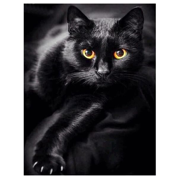 diamond painting black cat full square/round 5d diy diamond embroidery sale rhinestone animal pattern decoration home
diamond painting black cat full square/round 5d diy diamond embroidery sale rhinestone animal pattern decoration home
