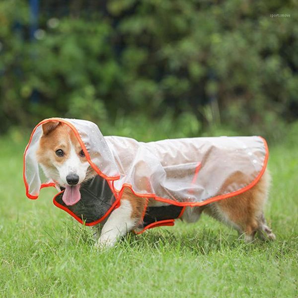 dog apparel raincoat big medium cat pet jacket waterproof clothing clothes puppy casual1
dog apparel raincoat big medium cat pet jacket waterproof clothing clothes puppy casual1