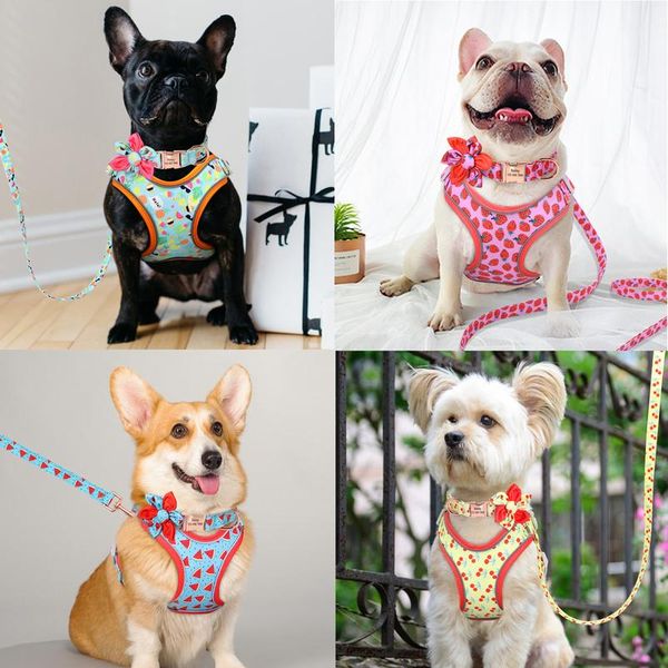 custom printed dog collar leash set personalized pet dog collar harnesses walking leash for medium large dogs french sqcwss
custom printed dog collar leash set personalized pet dog collar harnesses walking leash for medium large dogs french sqcwss