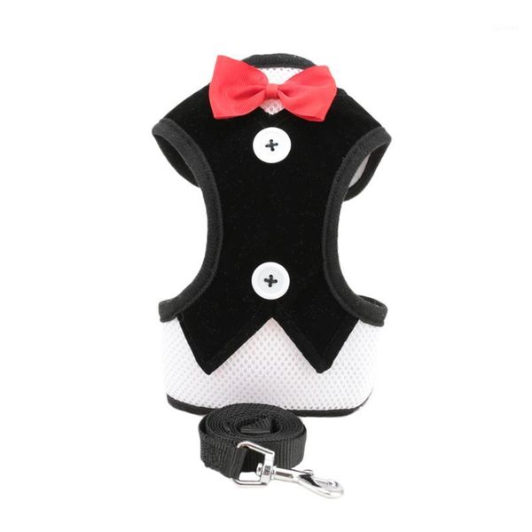 small dog harness and leash set pet cat vest harness with bowknot mesh padded for small puppy dogs1
small dog harness and leash set pet cat vest harness with bowknot mesh padded for small puppy dogs1