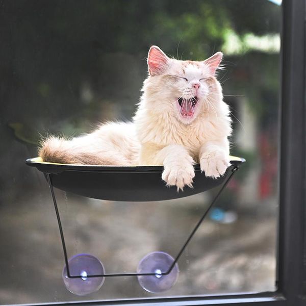 cat beds & furniture cama cato cats bed window perch seat suction cups space saving hammock pet resting shelves k888
cat beds & furniture cama cato cats bed window perch seat suction cups space saving hammock pet resting shelves k888