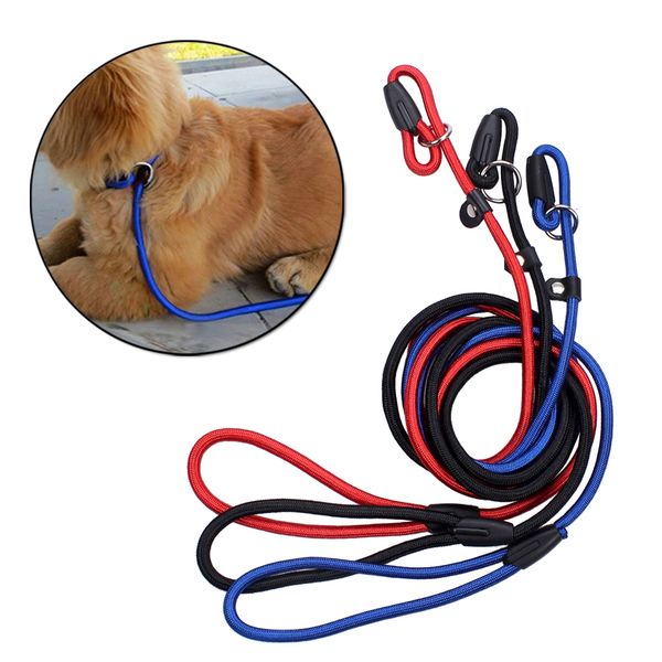 pet dog nylon adjustable collar training loop slip leash rope lead small size red blue black color
pet dog nylon adjustable collar training loop slip leash rope lead small size red blue black color