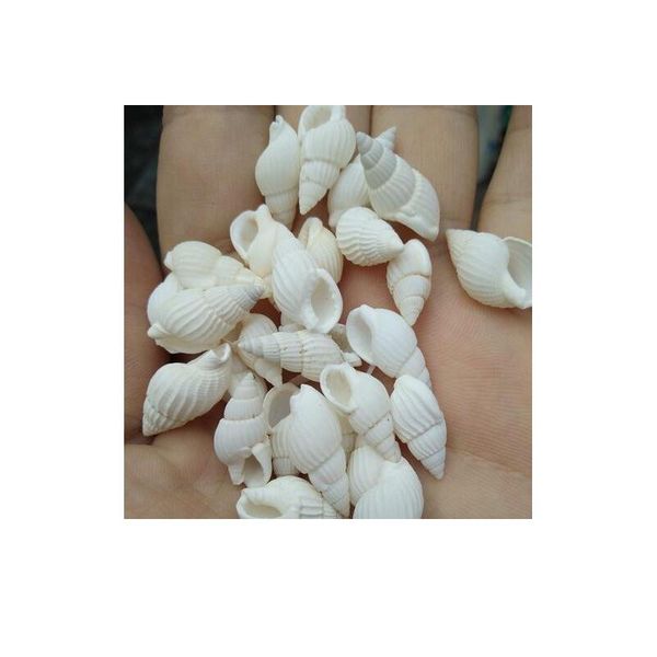 happykiss natural ornament conch shells white jade snail the white cat's eye screw the mediterranean home decoration a qyllod
happykiss natural ornament conch shells white jade snail the white cat's eye screw the mediterranean home decoration a qyllod