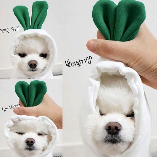 dog apparel hoodie spring autumn clothes funny pet clothing puppy outfit doggie yorkshire pomeranian poodle bichon coat
dog apparel hoodie spring autumn clothes funny pet clothing puppy outfit doggie yorkshire pomeranian poodle bichon coat