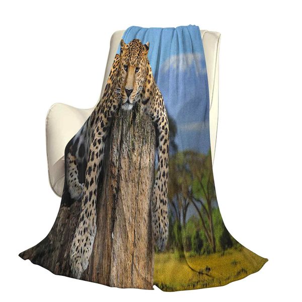 leopard sitting on a tree trunk with mountain range journey up kilimanjaro sceneryoffice leisure blankets
leopard sitting on a tree trunk with mountain range journey up kilimanjaro sceneryoffice leisure blankets