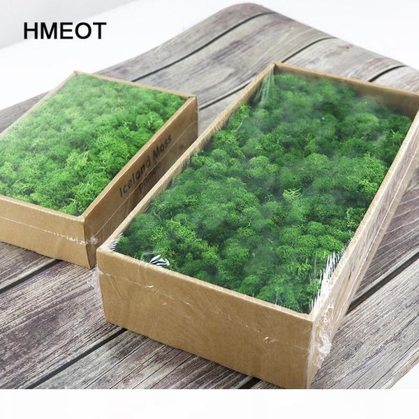 1000g simulation plants eternal life moss garden home decor wall diy flower material mini garden micro landscape fake moss
1000g simulation plants eternal life moss garden home decor wall diy flower material mini garden micro landscape fake moss