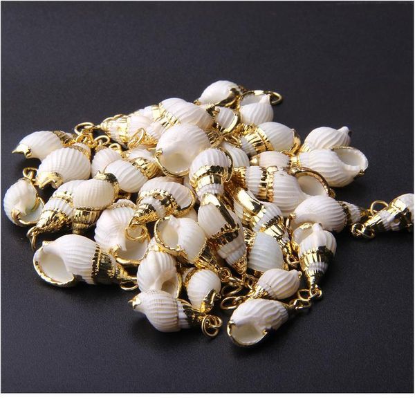 gold plated natural spiral seashells for diy handmade shells pendant jewelry handmade home decoration for jewelry mak qylkqy, Black
gold plated natural spiral seashells for diy handmade shells pendant jewelry handmade home decoration for jewelry mak qylkqy, Black