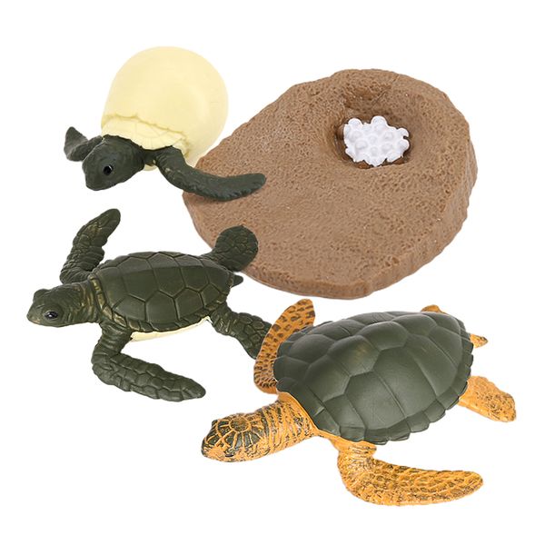 learning resources sea turtle life cycle model 4 stage of growth kids education cognitive biology toys
learning resources sea turtle life cycle model 4 stage of growth kids education cognitive biology toys