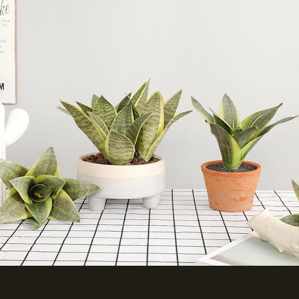 decorative flowers & wreaths 11leaves/lot artificial plants sansevieria branch for bonsai decoration fake plastic tiger piran leaves home ga
decorative flowers & wreaths 11leaves/lot artificial plants sansevieria branch for bonsai decoration fake plastic tiger piran leaves home ga