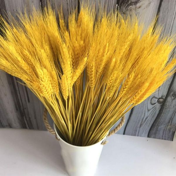 50pc/lot artificial wheat ears natural dried flowers grain bouquet for wedding party decor diy craft scrapbook home decoration
50pc/lot artificial wheat ears natural dried flowers grain bouquet for wedding party decor diy craft scrapbook home decoration
