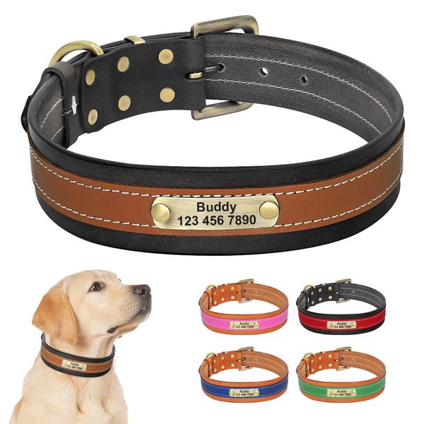 dog leather collar, soft fill, custom, custom nameplate, collar engraved with identification label for medium and large dogs
dog leather collar, soft fill, custom, custom nameplate, collar engraved with identification label for medium and large dogs