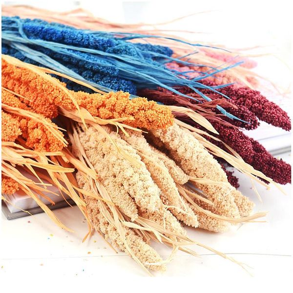 10pcs natural dried flower grain artificial flower decorative bouquet for home wedding table decoration diy wreath fak bbyltv
10pcs natural dried flower grain artificial flower decorative bouquet for home wedding table decoration diy wreath fak bbyltv