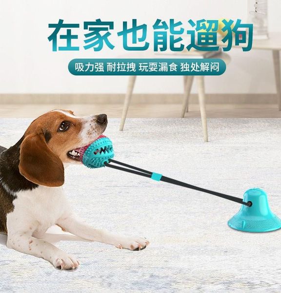 holder pet toy elastic boring wear rope self play dog decompression watermelon pull training ball wall
holder pet toy elastic boring wear rope self play dog decompression watermelon pull training ball wall