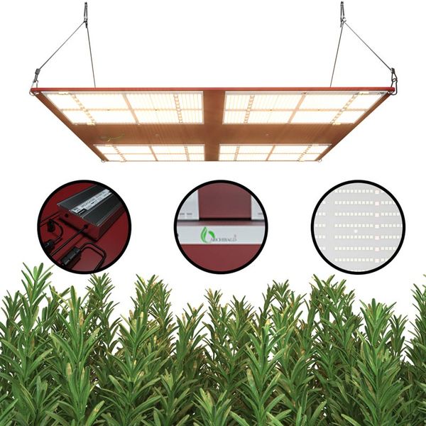 d 2020 archibald etl listed 800w with bluetooth wifi control led grow light with full spectrum for plants greenhouse
d 2020 archibald etl listed 800w with bluetooth wifi control led grow light with full spectrum for plants greenhouse