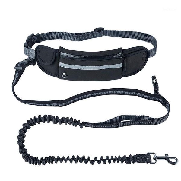 dog collars & leashes hands running leash with waist pocket adjustable belt absorbing bungee fits up to 45inch black1
dog collars & leashes hands running leash with waist pocket adjustable belt absorbing bungee fits up to 45inch black1