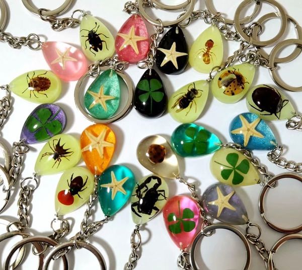 yqtdmy 12 pcs mixed color four leaf clover starfish insect charming keychain specimen keychain crafts, Slivery;golden
yqtdmy 12 pcs mixed color four leaf clover starfish insect charming keychain specimen keychain crafts, Slivery;golden