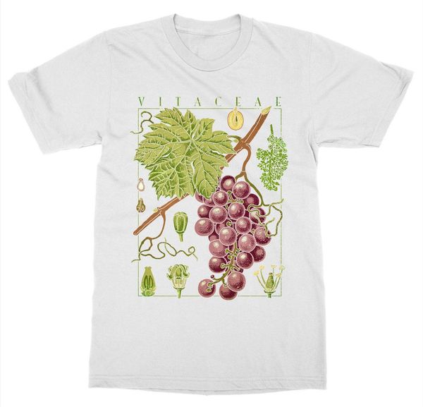 short sleeve for summer wine grape vine botanical garden plant print art botany fruit flower sport hooded sweatshirt hoodie men t shirt
short sleeve for summer wine grape vine botanical garden plant print art botany fruit flower sport hooded sweatshirt hoodie men t shirt