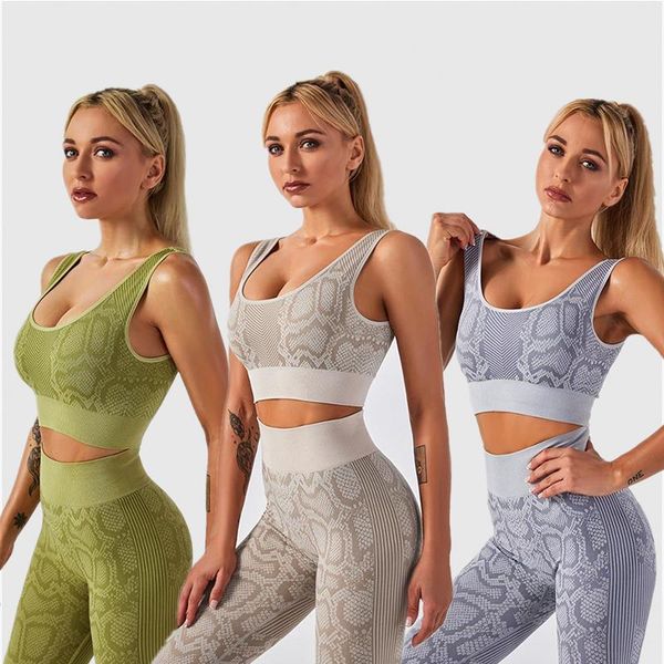 бесшовные змеиной йога установить спортивная tracksuit мода бюстгальтер высокой талией спорт гетры push-вверх йога pant activewear йоги sqcr
бесшовные змеиной йога установить спортивная tracksuit мода бюстгальтер высокой талией спорт гетры push-вверх йога pant activewear йоги sqcr