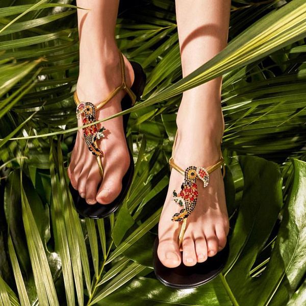 summer beach rhinestone woodpecker flat sandal t-strap multi crytsal bird buckle clip toe flip-flops vacation sandals, Black
summer beach rhinestone woodpecker flat sandal t-strap multi crytsal bird buckle clip toe flip-flops vacation sandals, Black