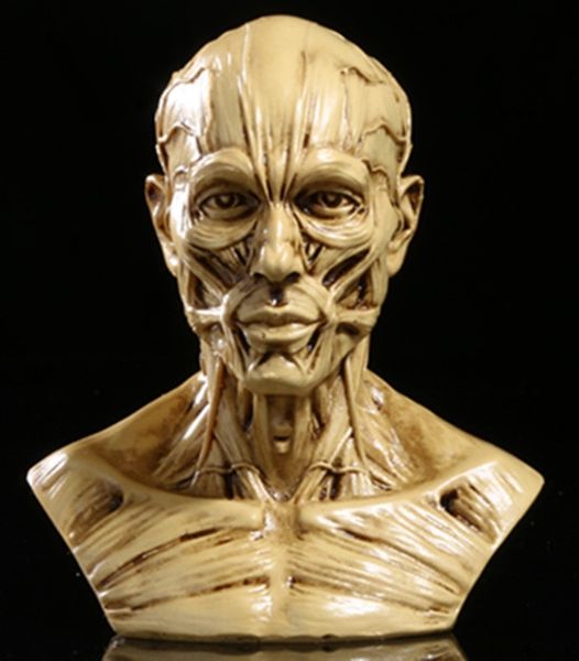 wt2wk muscle simulation simulation half body halloween resin muscle bone half bonehalloween resin model skull skull body model 6h9ai
wt2wk muscle simulation simulation half body halloween resin muscle bone half bonehalloween resin model skull skull body model 6h9ai